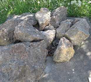 Geologischer Lehrgarten