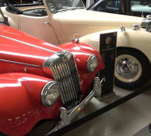 Autosammlung Steim