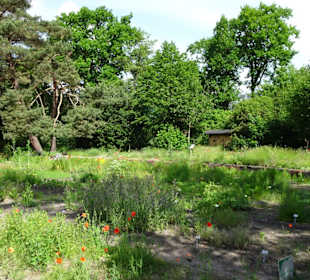 Spaziergang durch den Botanischen Garten Bremen