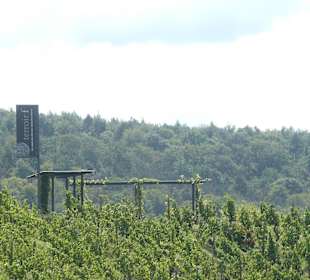 Terroir f Thüngersheim - Wein und Mythologie