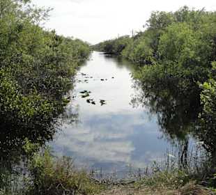 Everglades