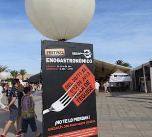 Festival Enogastronomico 2013