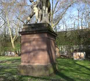 Historische Platanenallee im Unteren Schloßgarten