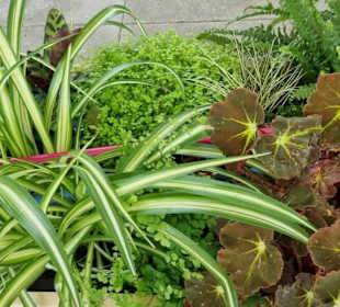 Kleine Insellandschaften