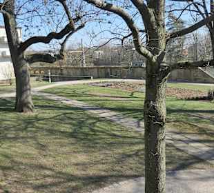 In der Parkanlage Alter Friedhof in Schweinfurt