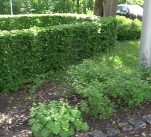 Rathausbrunnen Glatten