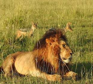 Der beobachtete Geniesser