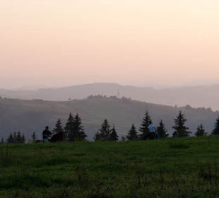 Łąki w drodze na Baranią Góre
