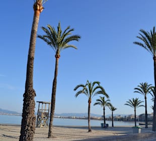 El Arenal - The Beach