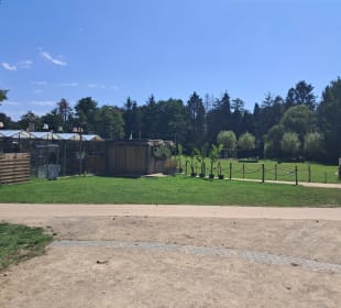  Molenvijverpark in Genk, Belgien 
