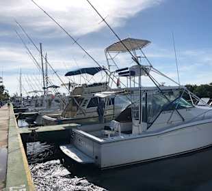 Motoryachtfahrt Cayo Blanco