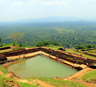 Blick über den Dschungel