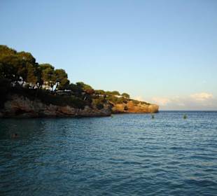 Bucht