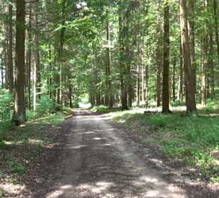 Klimaweg Sonnenalb