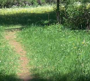 Premiumwanderweg Hochgehschätzt