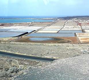 Inselrundfahrt AIDA Tagestour