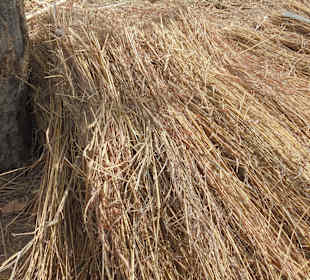 Dachbau im Norden von Kamerun