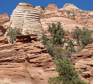 Checkerboard Mesa