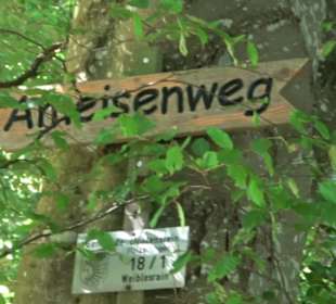 Waldameisen-LehrPfad