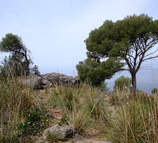 Ausblick vom Refugi de Muleta