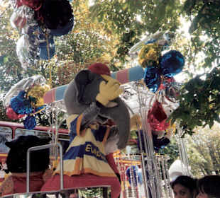 Ansichten aus dem Europapark in Rust