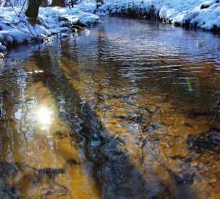Der Stausee im Winter ein Traum