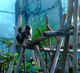 Tierpark Hellabrunn in München