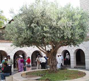 Berg der Seligpreisung