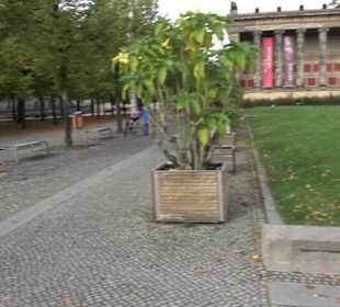 Lustgarten