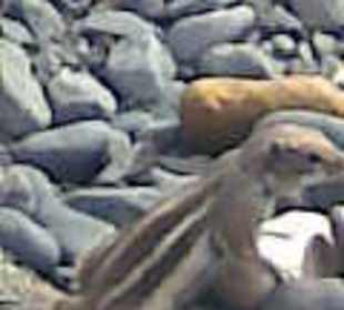 Ist das nicht süss?