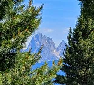 Villanderer Alm