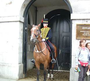 Horse Guard