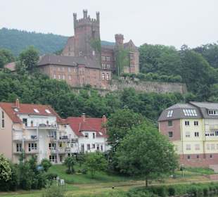 Schifffahrt auf dem Neckar