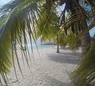 "Bounty" Abschnitt auf Saona