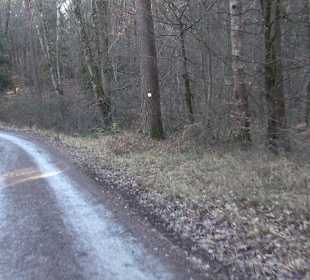 Ochsenweiher Rundweg