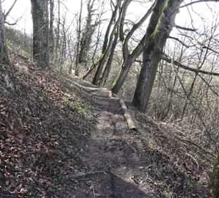 Wanderweg zur Achalm