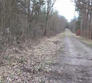 Unterjesinger Wengertwegle