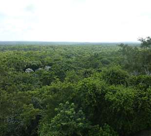 Calakmul