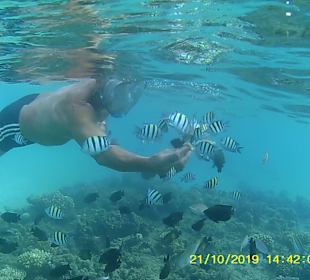 Schnorcheln Hurghada
