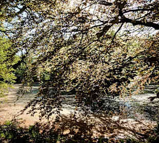 Impressionen aus dem Park Höpkensruh