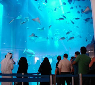 Aquarium in der Dubai Mall