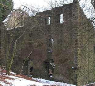 Burgruine Freudenkoppe  - Nerother Kopf