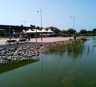 Parque del Sur in Maspalomas