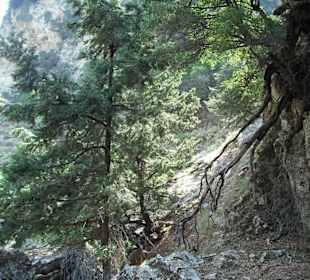Imbros-Schlucht