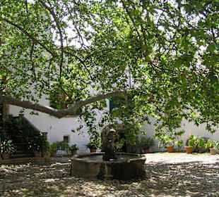 Jardin de Albafia