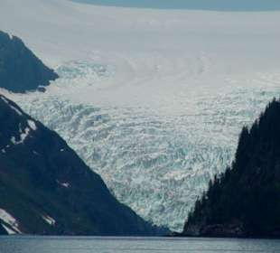 Gletscher im Kenaifjord