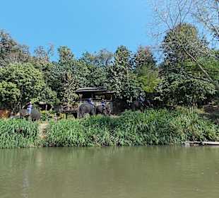 Floßfahrt Mae Taeng