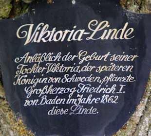 Inschrift zur Linde