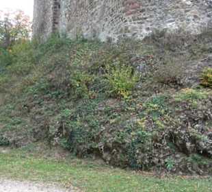 Kastelburg