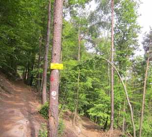 Auf dem Weg zum Hilschweiher